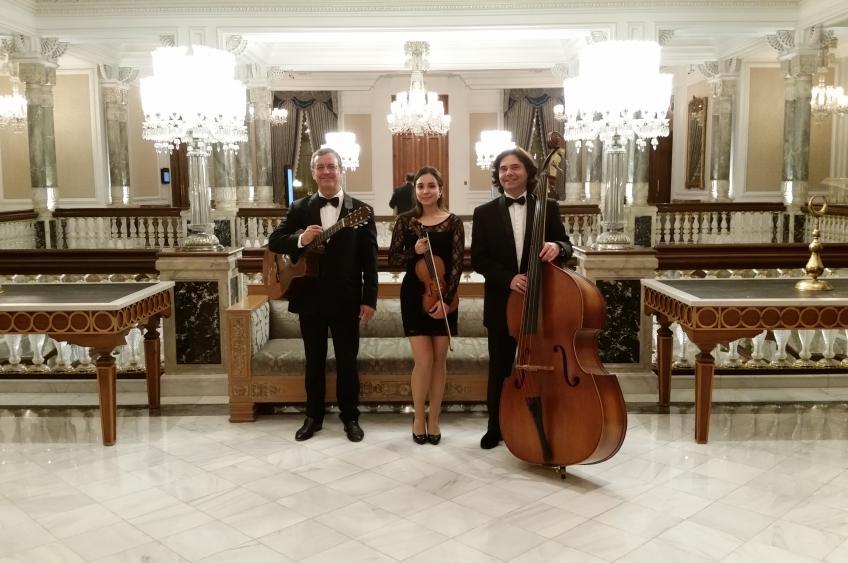 TRIO - QUARTET - QUINTET MÜZİK GRUPLARI